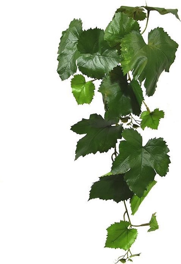 Kunst Druiventak 65cm