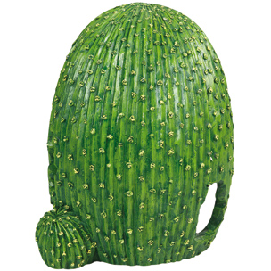 [BR_149943] REPTIELENSCHUILPLAATS CACTUS - S