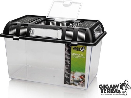 [G04-00424 ] Giganterra Faunabox / Terrarium 27x17x16
