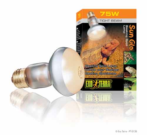 [BR_166847] Ex intenese baskingspot 75W