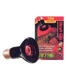 [BR_166851] Ex Infrared basking spot 75W
