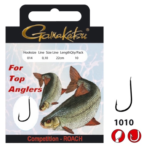 [BR_174842] ! Competition roach 16 08 22