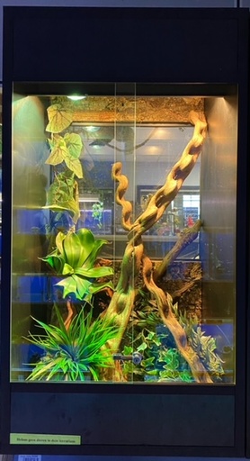 [BR_203270] # Terrarium + inrichting 75Bx110Hx50D