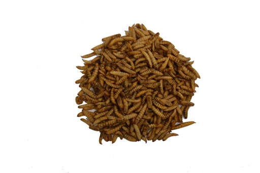 [204640] Nutriworms gedroogd 70gr