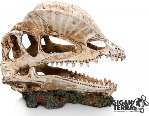 [G04-00334] # Giganterra Dinosaurus