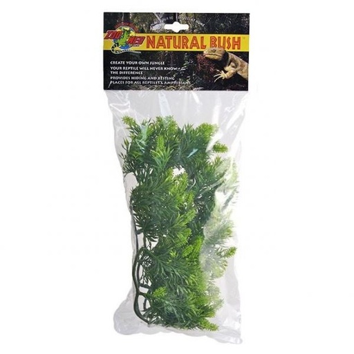 [BR_216177] Large Malaysian Fern
