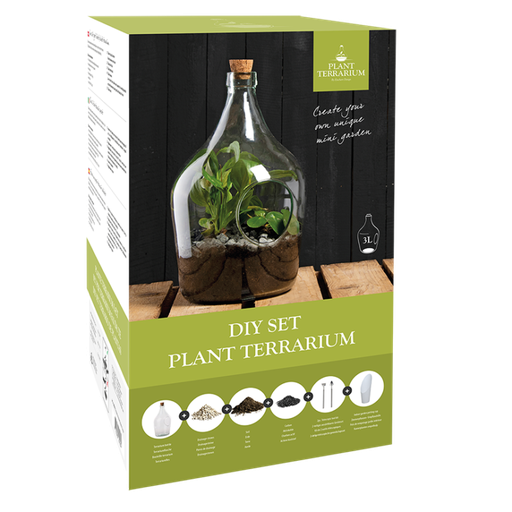 [AGG92 ] # DHZ open plant terrarium set 3 liter